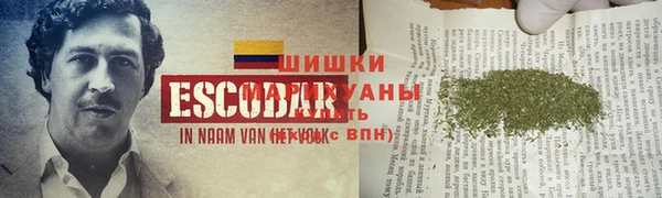 PSILOCYBIN Алексеевка