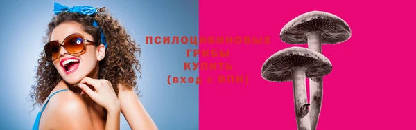 a pvp Алексин