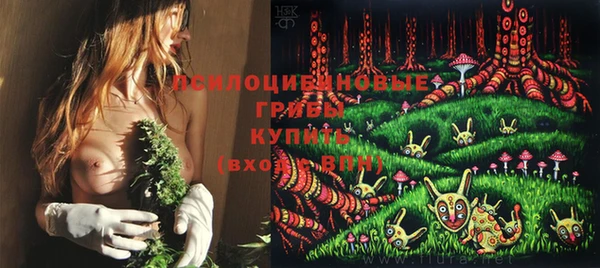 PSILOCYBIN Алексеевка
