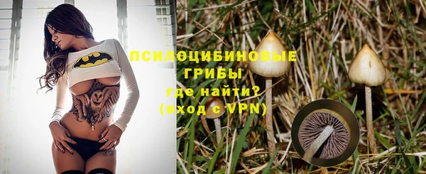 мяу мяу мука Алзамай