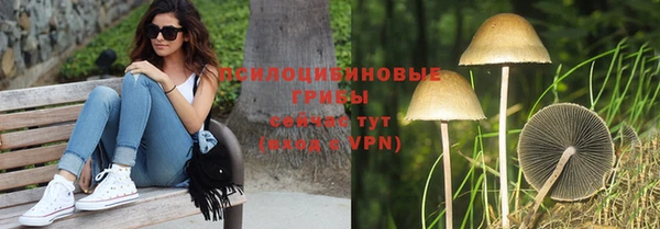 тгк Липки