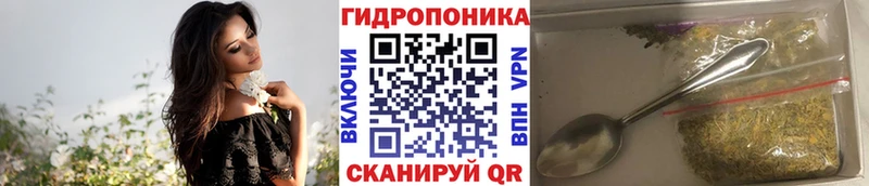 Каннабис OG Kush Хотьково